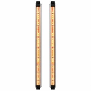 Par de barras Spectra Flora Boost Delight encendidas