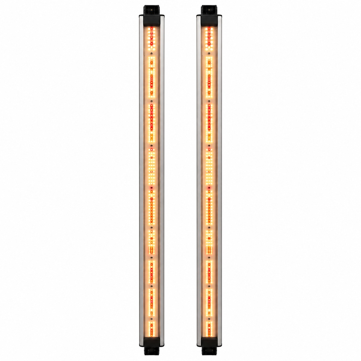 Par de barras Spectra Flora Boost Delight encendidas