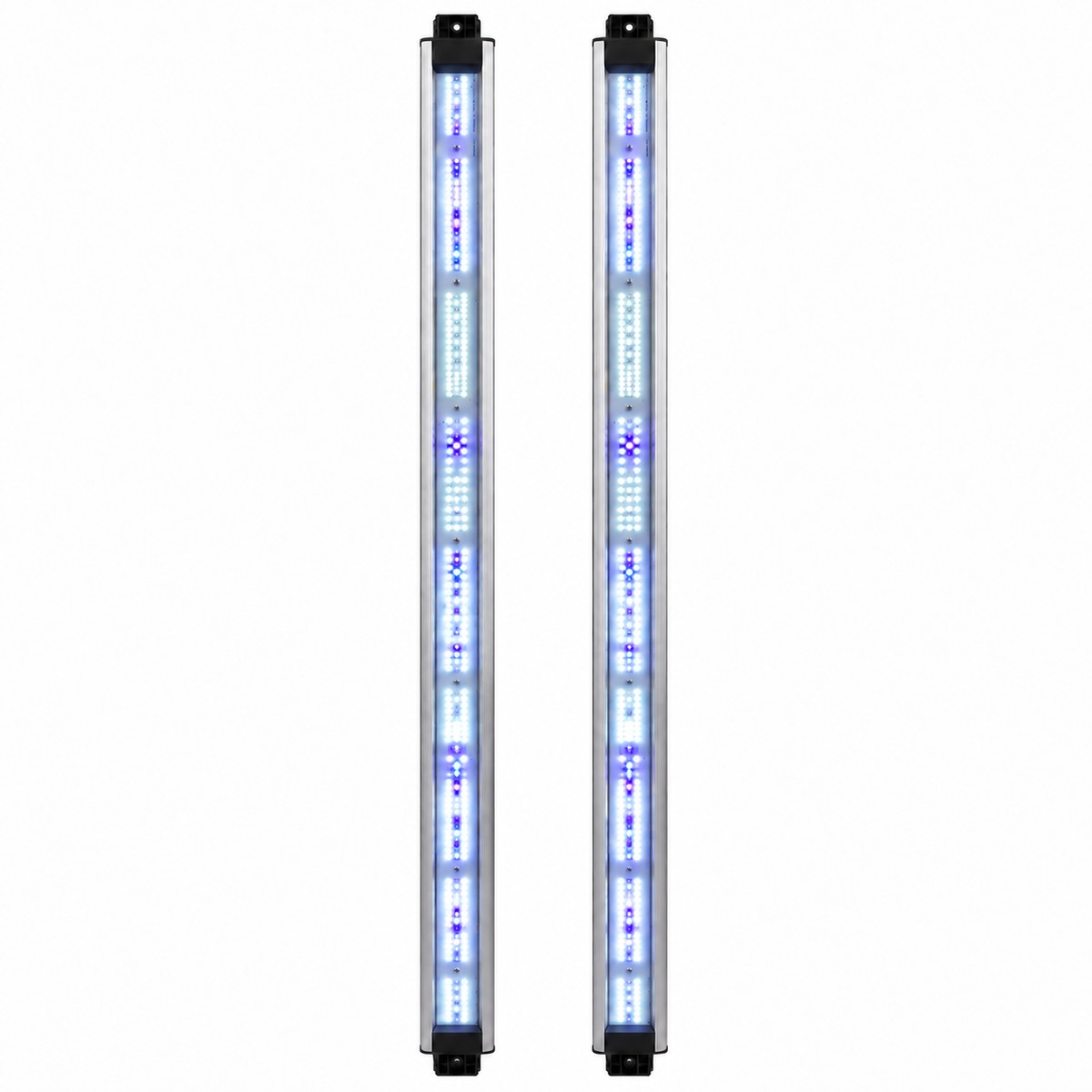 Par de barras Spectra Resin Boost Delight encendidas