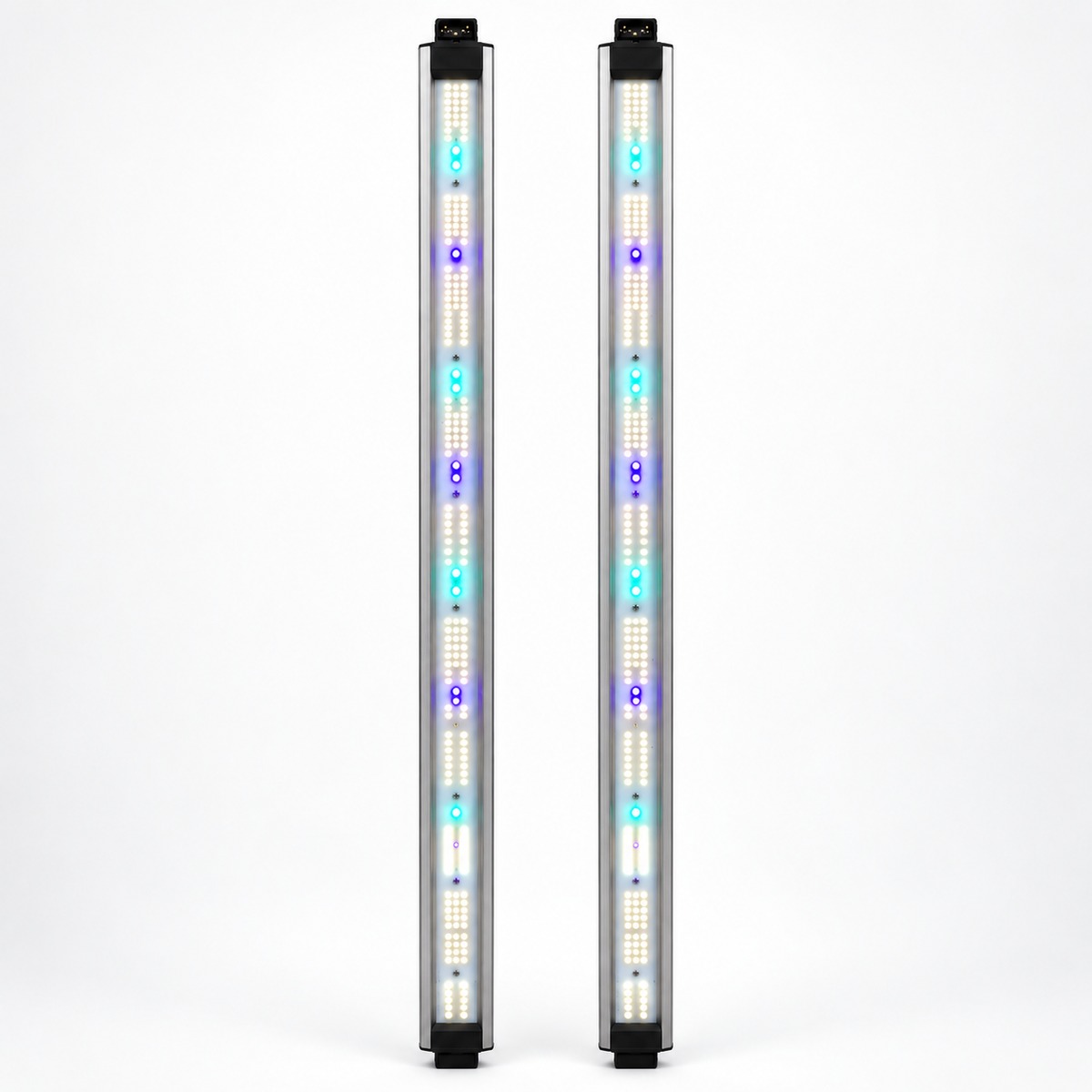 Par de barras Spectra Vega Boost Delight encendidas